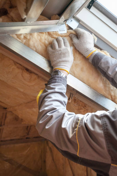 Professional Foam Insulation Services in Sherman, IL